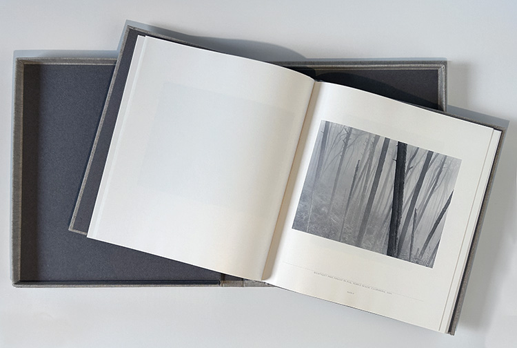 John Sexton. Quiet Light / Джон Секстон, Тихий Свет - Image 6
