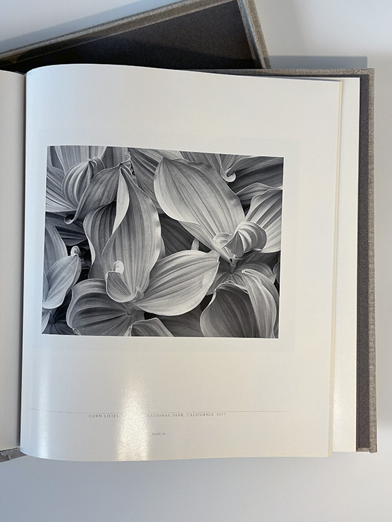 John Sexton. Quiet Light / Джон Секстон, Тихий Свет - Image 4